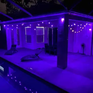 Holiday home Hidden Gem In The Heart Of The City!!, Tampa